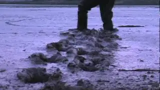Hunter Streamfisher waders at dusk #3