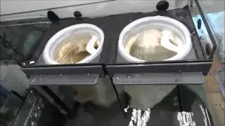 Red Sea Reefer 250 water noise 05