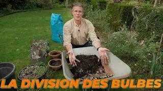 Je teste une nouvelle composition dans les suspensions 💐