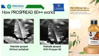 PROVEDA, PROSPREAD 80++   Demo