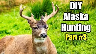 Alaska Hunting &ndash; Plan a DIY Alaska Hunt &ndash; Part 3 - Game Animals & Hunting Locations