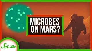 Microbes Might Survive on Mars | SciShow News