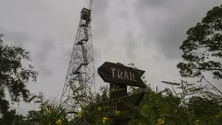 Tower Trail And Unexpected Encounter With Dangerous Wildlife