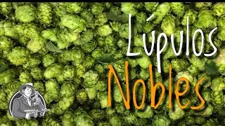 L&uacute;pulos Nobles, todo lo que necesitas saber | Cerveza Artesanal | La Birra Nostra