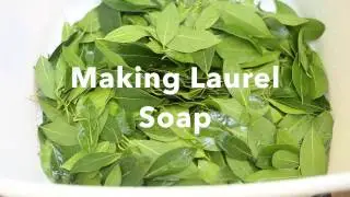 Making and cutting Laurel soap