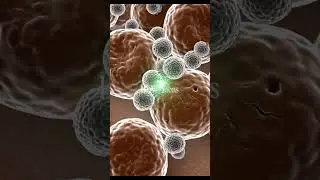 Vitiligo:Autoimmune Melanocyte Destruction & Depigmentation #Vitiligo #SkinCare  #3DMedicalAnimation