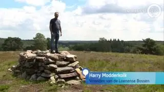 Hoe Loenen zijn Loenermark probeert terug te krijgen - Omroep Gelderland