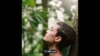 #facts #video #viral #beautiful #adventure #beauty #challenge #channel #like #live #breathing