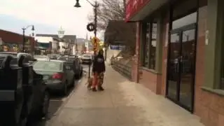 Amazing trained role model pitbull! Off leash down town ddk9