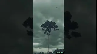 #Monsoon status #Nature status video #Status video for world environment day