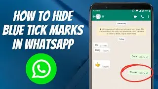 How to Hide Blue Tick Marks in WhatsApp | NEW UPDATE (2024)