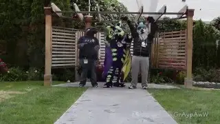 GrAypAwW - BLFC 2016