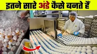देखिए इतने सारे अंडे कैसे बनते हैं | Amazing Chicken Farming Harvesting and Egg Production