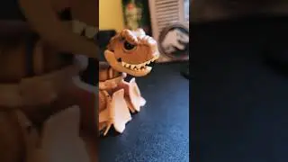 The baby T. Rex's bead crash banticoot. January 15, 2026