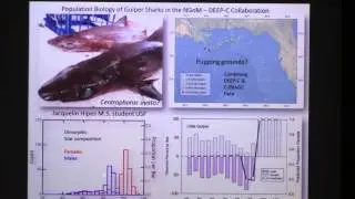 Steve Murawski, Biological Oceanography - USF College of Marine Science - Part I