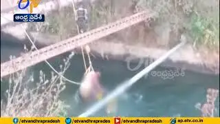 Family Of 6 Including 2 Girls Drown | After Car Falls Into | Tamil Nadu Canal
