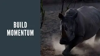 How to Build Momentum in Your Business