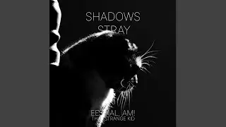 Shadows Stray