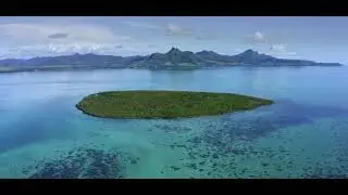 &Icirc;le aux Aigrettes