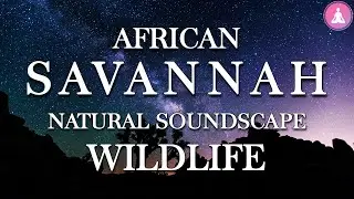 African Night at Waterhole ~ Natural Soundscape with Wildlife Sounds for Relaxed Body and Mind
