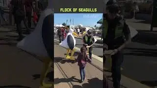 Halloween Costume Fails!