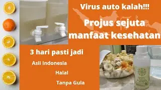 Manfaat dan cara membuat Projus - membuat sampai panen Projus