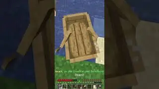 Was soll das? #shorts #minecraft #minecraftshorts #shortclip #shortfeed #karma #mc #mau46