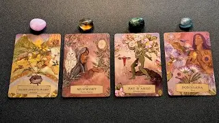 ❤️ Who Are You Destined To Meet Soon? 👀 Pick a Card ✨
