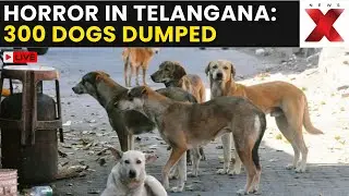 Stray Dog Massacre LIVE | 300 Dogs Dead in One Village, Telangana Sees Massive Outrage