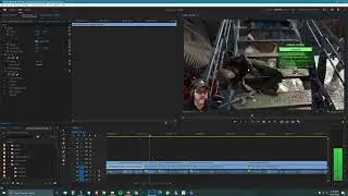 Adobe Premiere Jump Cursor In Timeline. Watch the cursor in the lower panel.