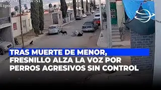 Tras muerte de menor, Fresnillo alza la voz por perros agresivos sin control