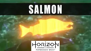 Расположение лосося в Horizon Forbidden West &mdash; как получить кости лосося