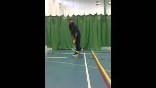 Biomechanical Analysis of a Tennis Serve