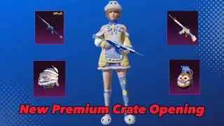 New Premium Crate Opening | Icicle Mini 14 Gunlab is back | 150 draws opening