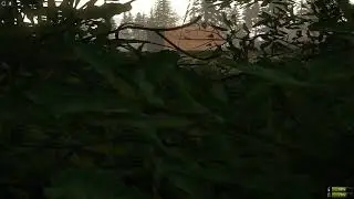 Miscreated 2022 10 17  The day before apocalypse server