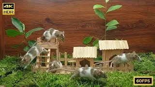 Cat TV 4K: Tiny Mice Adventure in a Mini Wooden Playground | 8 Hours Cat Entertainment