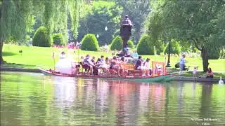 The Boston Swan Boats Filmed on July 2nd, 2018