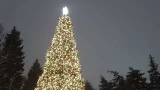 Саратов.Зима. Горпарк тогда и сейчас.