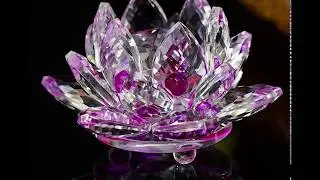 FENG SHUI CRYSTAL LOTUS FLOWER |Grab Wishes