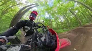 Gopher Dunes Trail 2 and 3