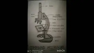 #art ### Best compound microscope🔬 drawing #####