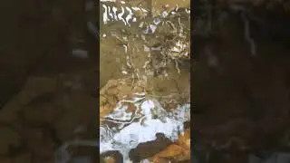 Fish massage at waterfall 💤❄️👍🏻💌#shorts #trending