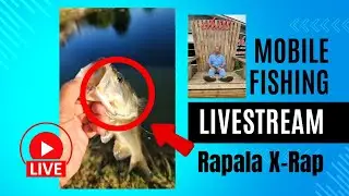 Ultralight Baitcasting - Rapala #mobile #fishing #livestream