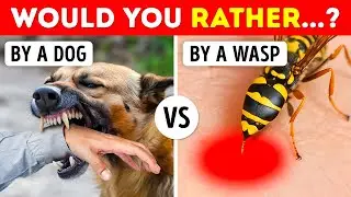 Pick One, Kick One: 50 Hardest Choices You&rsquo;ll Ever Make