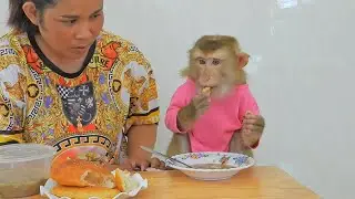 Little Luna Eating Chicken Porridge