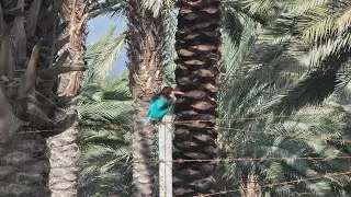 The most beautiful things you can see in nature!