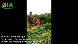 1120 Small Napier Grass Harvester