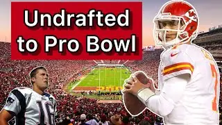 The Dynamic Career of Matt Cassel