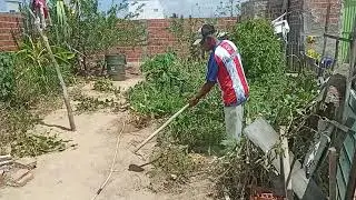 vejam como Nelson puxar cobra por p&eacute;s