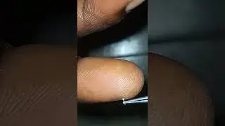 COCOA HAND POLLINATION